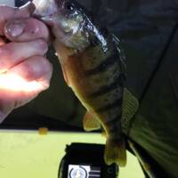 George Wells Fishing Trips Day on the Ice