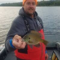 George Wells Fishing Trips Sunfish on Lake Inguadona